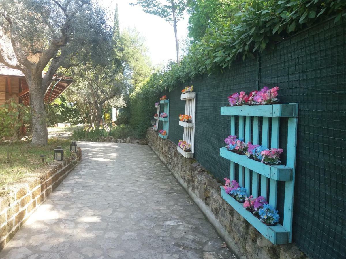 B&B Land & Sea Campofilone Exterior foto